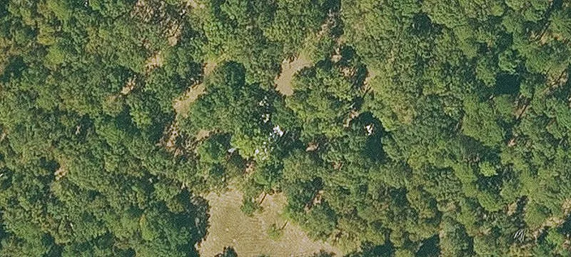 4209 Old Highway 7