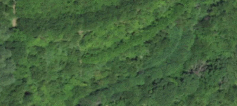 Butler Pond Rd