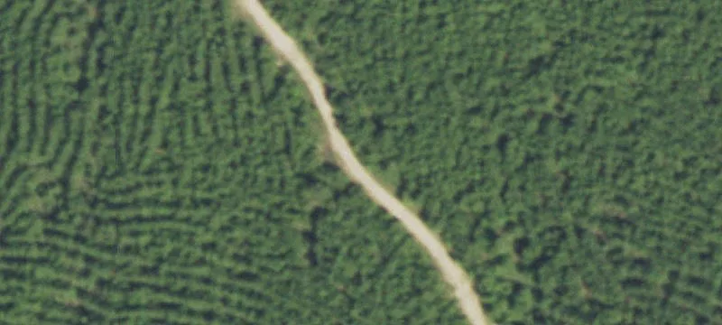 388 Ac Red Holw Rd