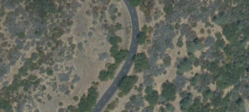 Wilder Dr