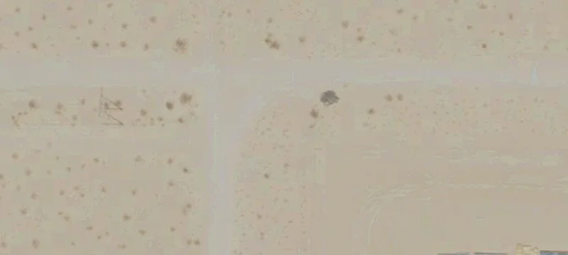 Mesa Dr