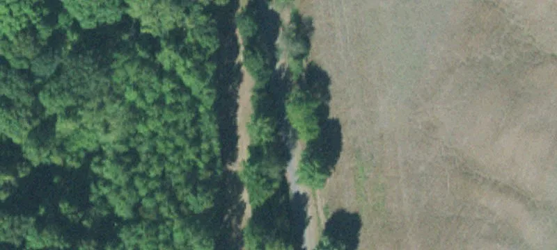 Coon Williams Rd