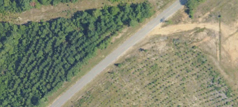 Old Foshee Rd