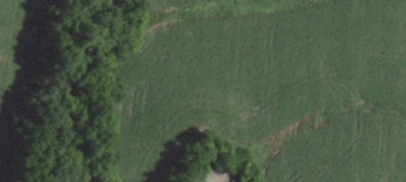 Rural