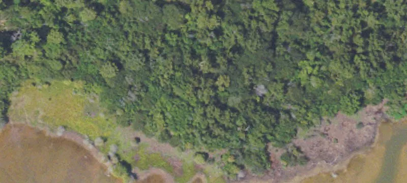66 Acres In Panola County