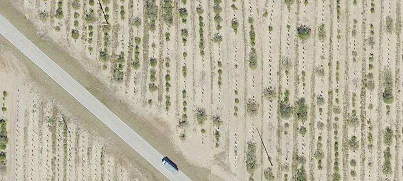 Sebring, FL 33870