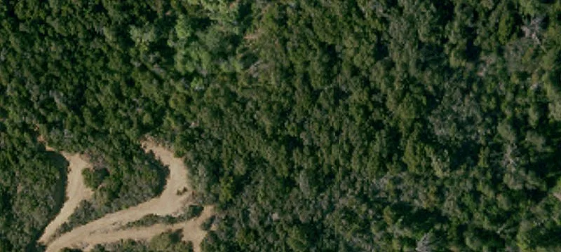 Bobcat Trl