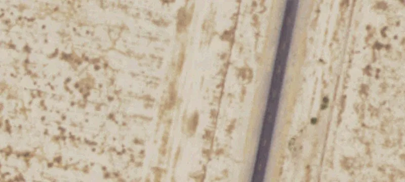 634 Cm Rnch Rd