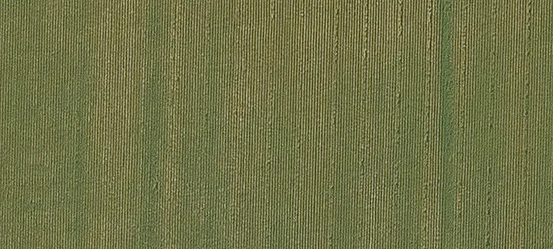 Wabbaseka 20-Acre Fld