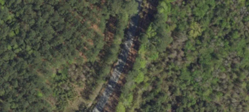 Dalcho Rd