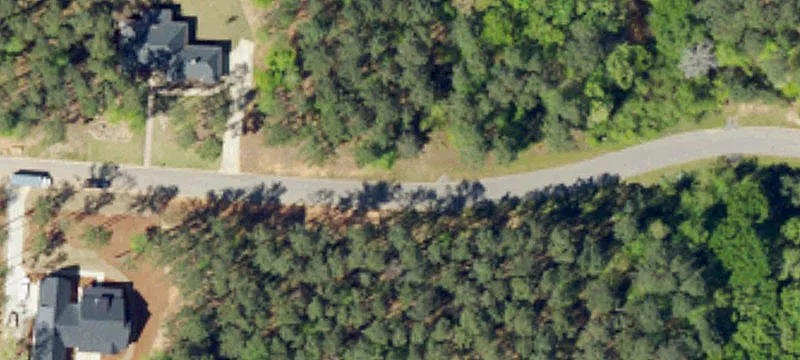 Eutaw Springs Trl