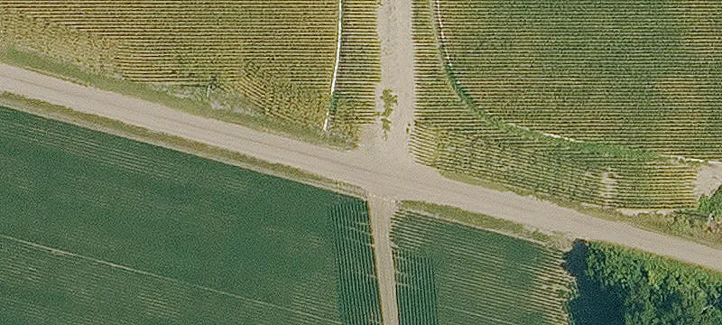 Ace Rd