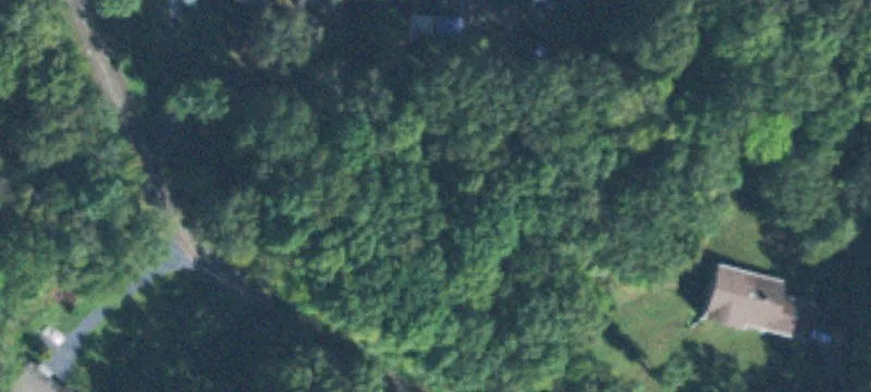 Cedar Dr