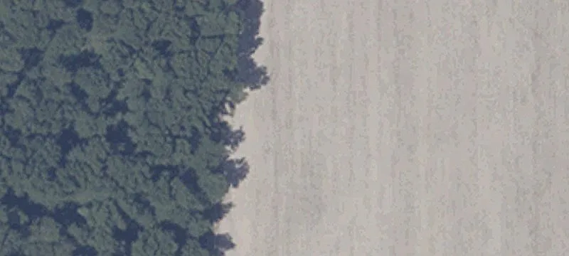 5420 Sr 7