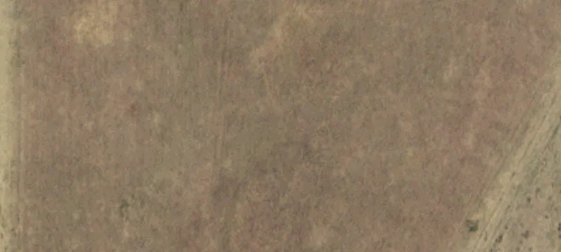 Native And Improved Grassland
