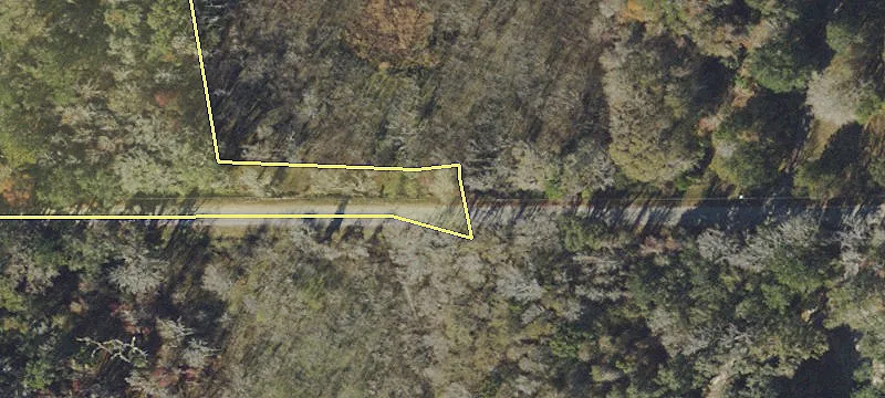 Pine Cabin Rd