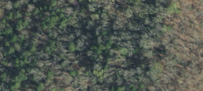 1092 Us-25