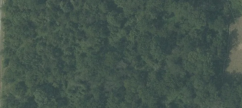 344 Nj-31