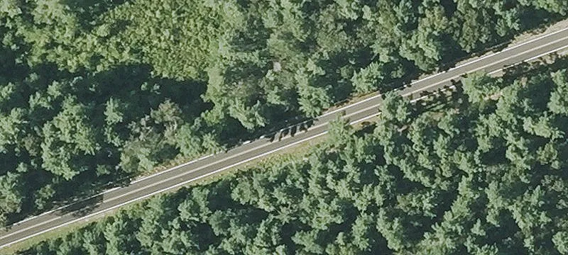 Long Point Rd