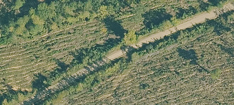 Thomas Rd