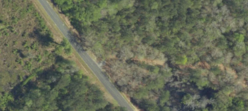 Dennis Britt Rd