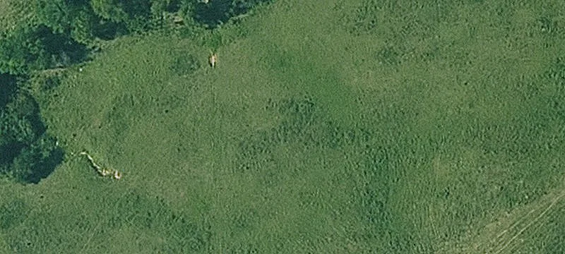 0000 Douglas Rd