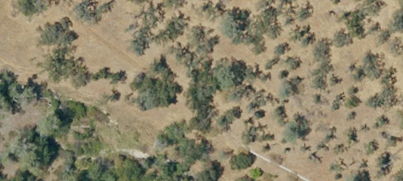 Veauta Rd