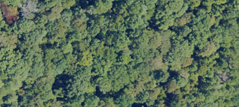 53.48 Acres In Holmes County