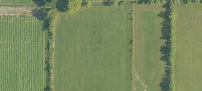 P2 Stirling Ln