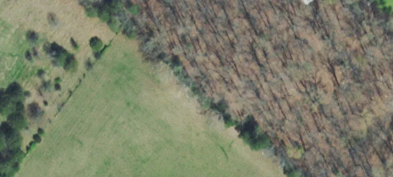 000 Us-411
