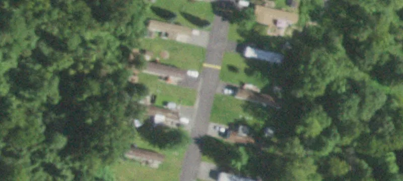 Walnut Park Ln