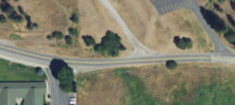Buena Vista Dr