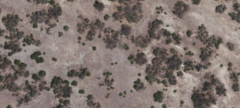 Big Axis Hunting Retreat
