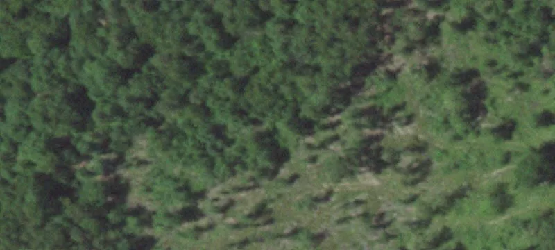 22285 Golden Spg Rd
