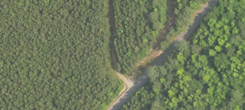 Roy Webb Cutoff Rd