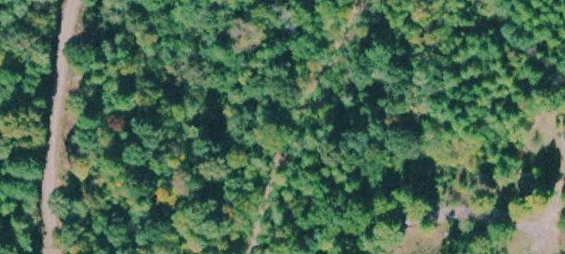 Ditch Gap Rd
