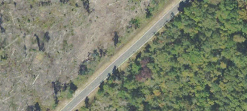 Warnell Farm Rd