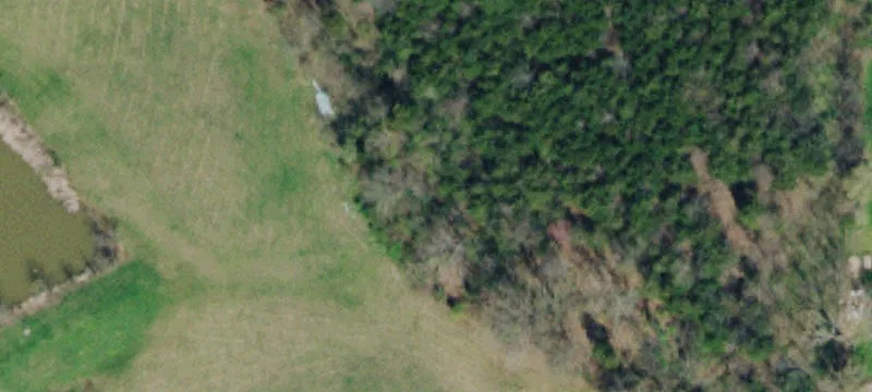 Cahaba Ln