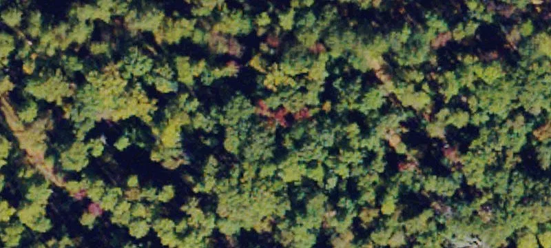 Old Roberts Mtn Rd