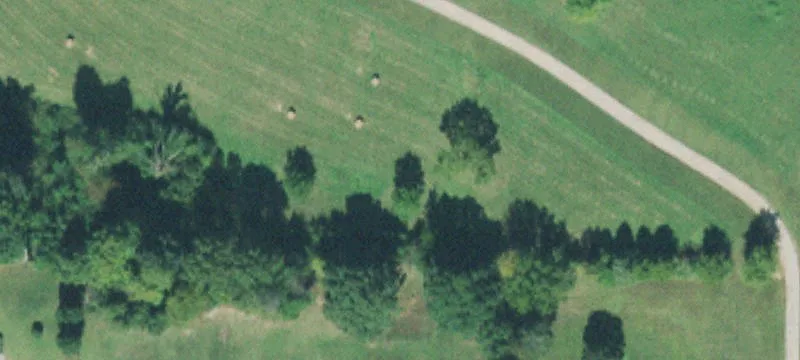 Oak Leaf Dr