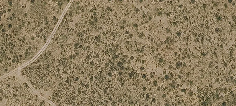 Bisbee Rd