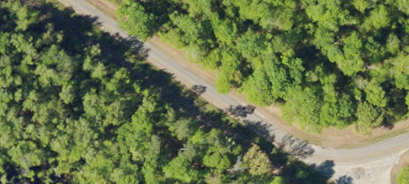 4 Old Jackson Hwy