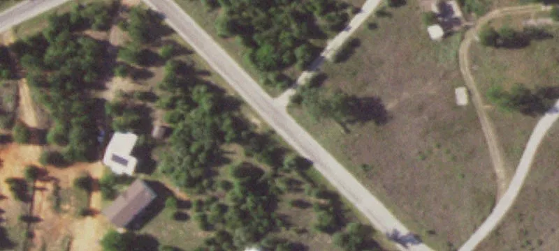 Pine Tree Loop