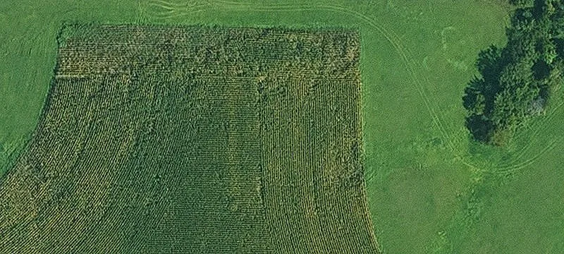Yukon Rd