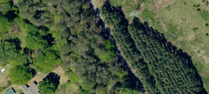 Store Rd. And Rice Rd