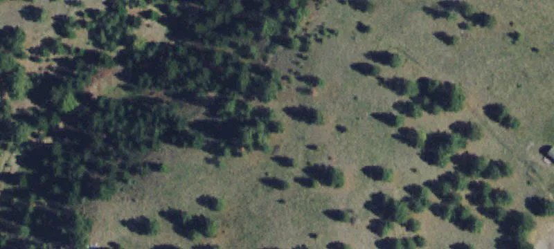 94 Ponderosa Rd