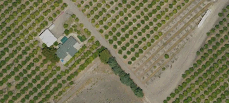 215 Rancho Rd