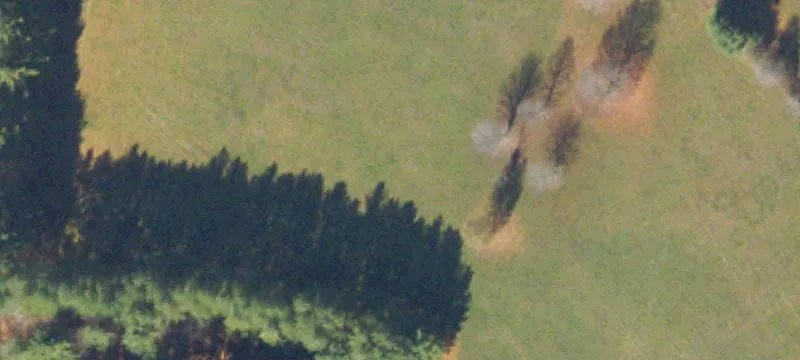 Bear Creek Rd