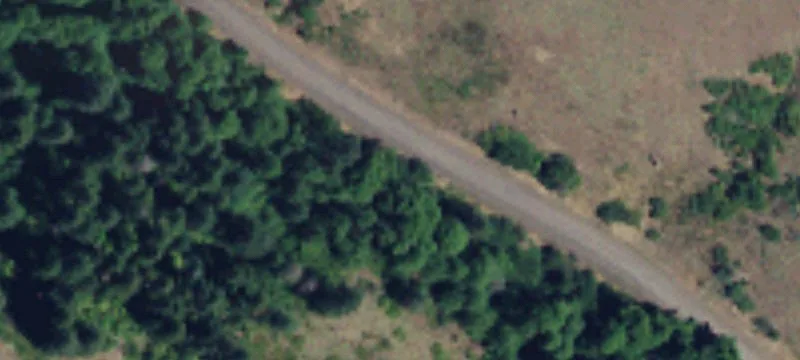 Nhn Cougar Rdg Rd