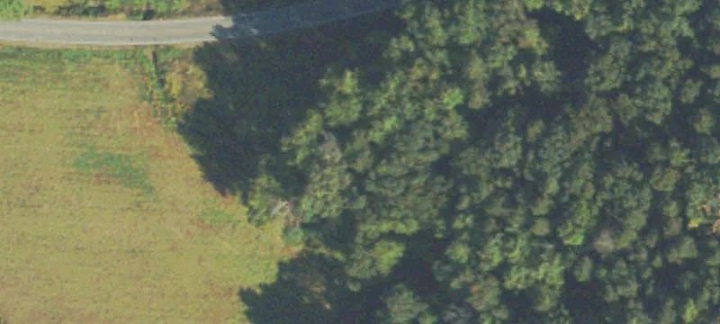 Toccoa St